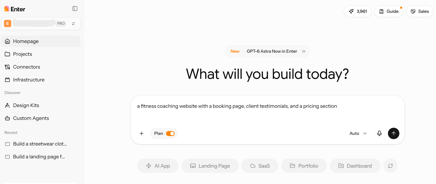 Enter Pro prompt input example