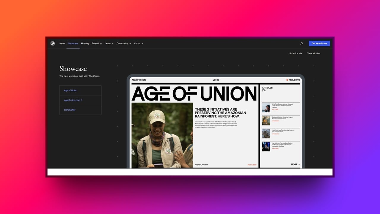 WordPress for websites