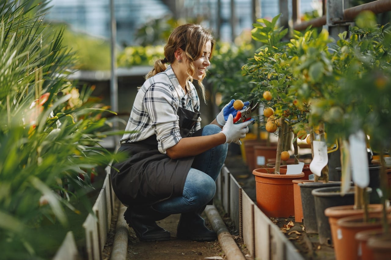 Gardening